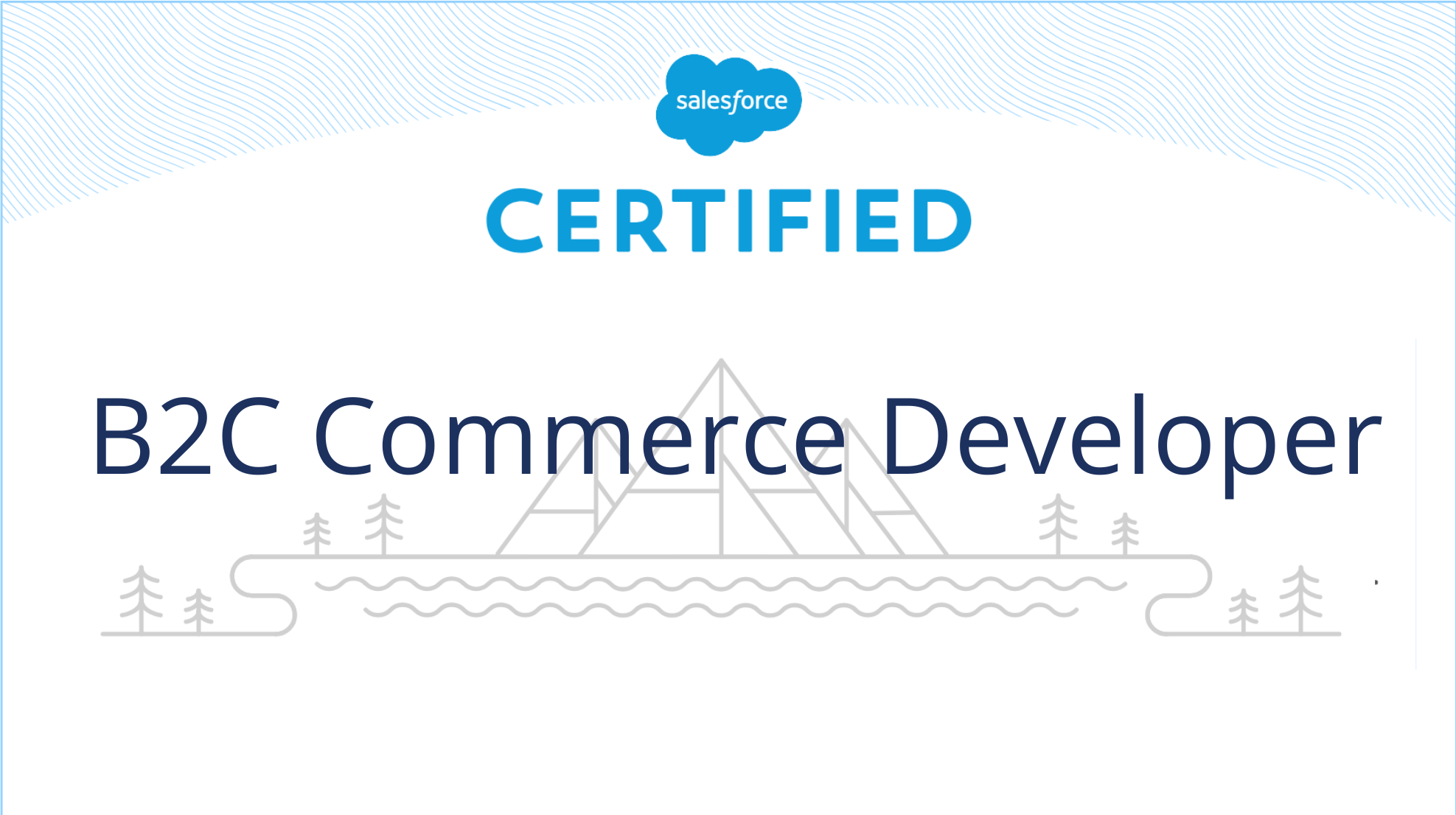 B2C Commerce Developer